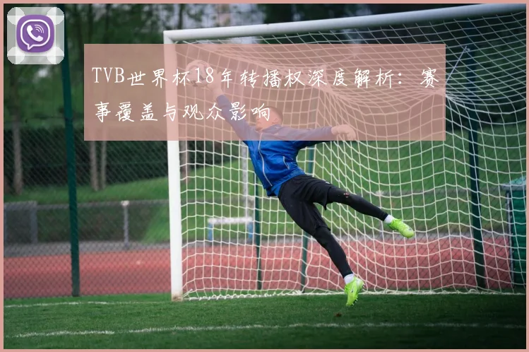 TVB世界杯18年转播权深度解析：赛事覆盖与观众影响