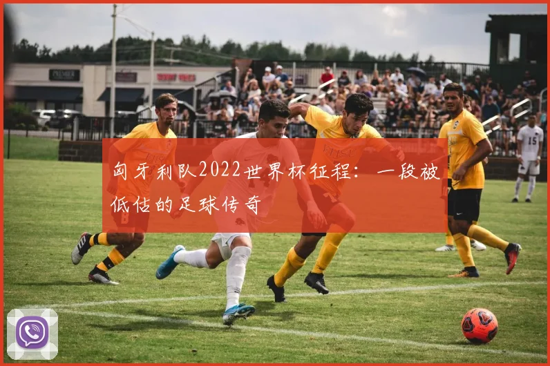 匈牙利队2022世界杯征程:一段被低估的足球传奇