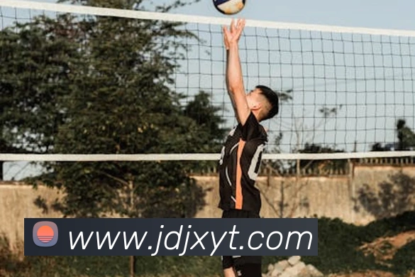 乐竞体育官方官网平台生态图